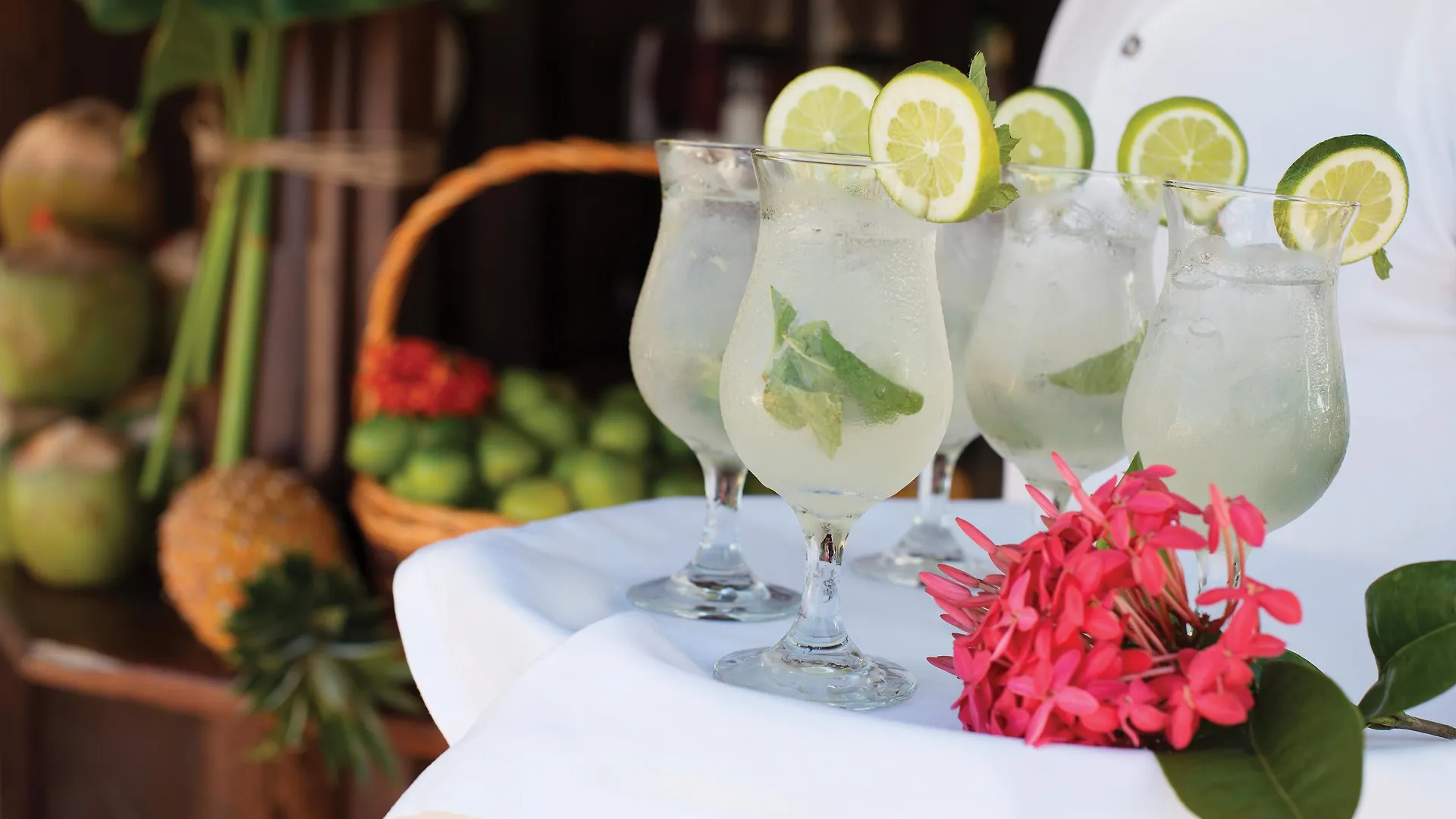 Hotel Excellence El Carmen Punta Cana