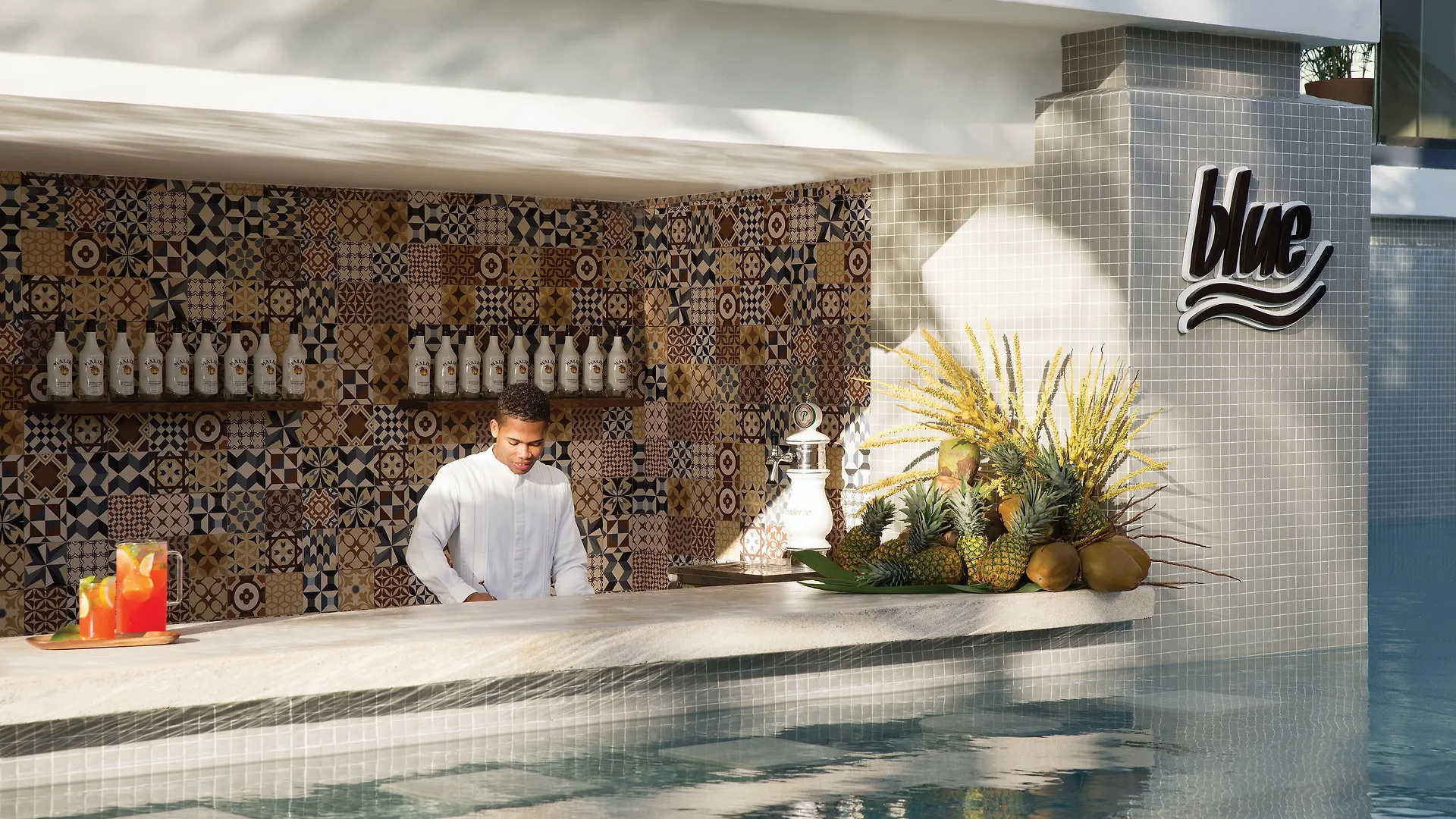 Excellence El Carmen (Adults Only) Hotel Punta Cana