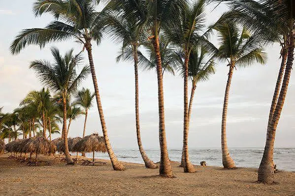 Excellence El Carmen (Adults Only) Hotel Punta Cana